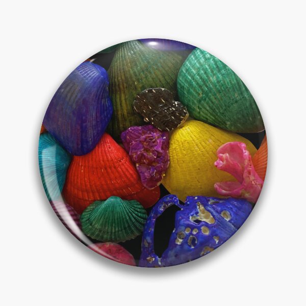 Item preview, Florida sea shells designed and sold by gunthercity.