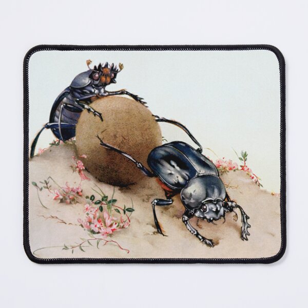 Item preview, Sacred scarabs (Scarabaeus sacer) rolling a dung ball. designed and sold by Luggnagg.