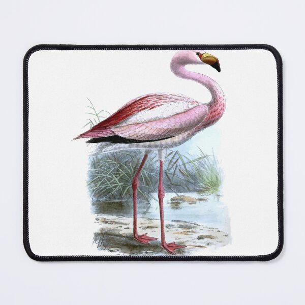 Item preview, Puna Flamingo designed and sold by taiche.