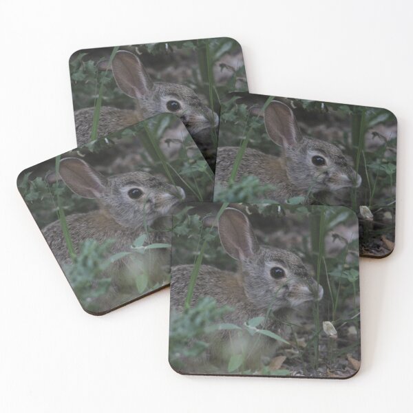 Item preview, Wild Bun designed and sold by LyssaBunni.