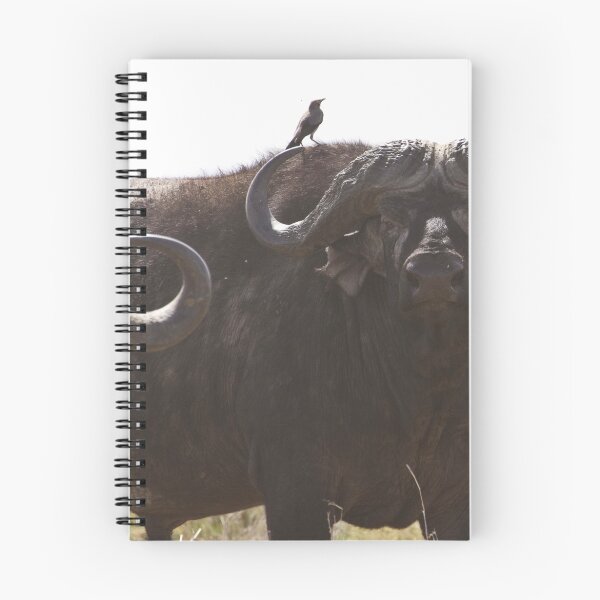 Item preview, Cape Buffalo designed and sold by Philip Alexander.