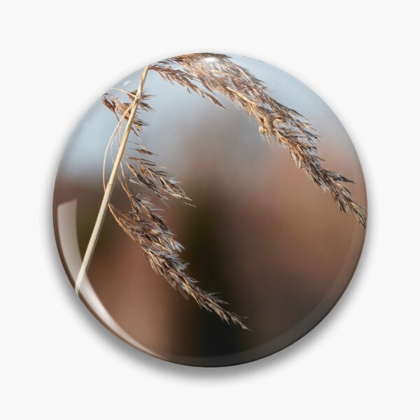 Item preview, When the winter is over. Common reed designed and sold by Jouko Lehto Photography.