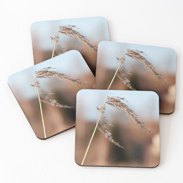 Item preview, When the winter is over. Common reed designed and sold by Jouko Lehto Photography.