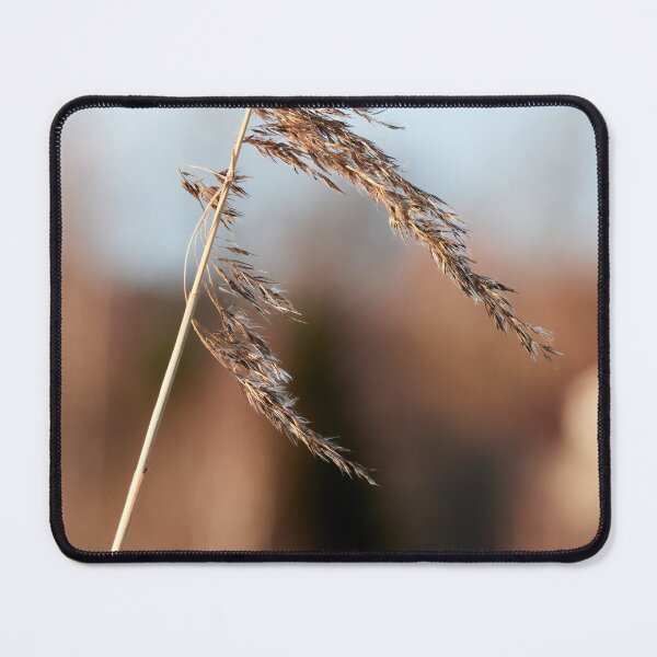 Item preview, When the winter is over. Common reed designed and sold by Jouko Lehto Photography.