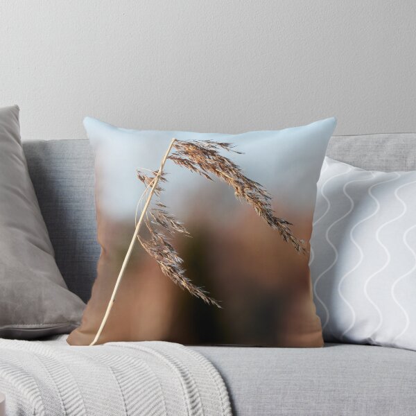 Item preview, When the winter is over. Common reed designed and sold by Jouko Lehto Photography.