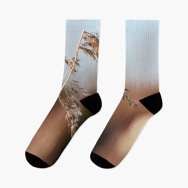 Item preview, When the winter is over. Common reed designed and sold by Jouko Lehto Photography.