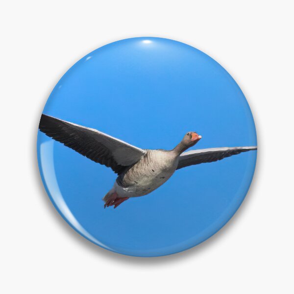 Item preview, Going north. Greylag goose designed and sold by Jouko Lehto Photography.