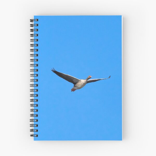 Item preview, Going north. Greylag goose designed and sold by Jouko Lehto Photography.