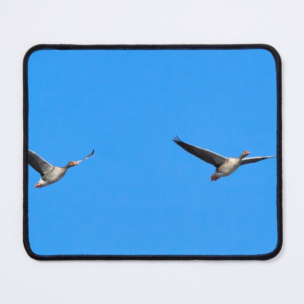 Item preview, Going north. Greylag goose designed and sold by Jouko Lehto Photography.