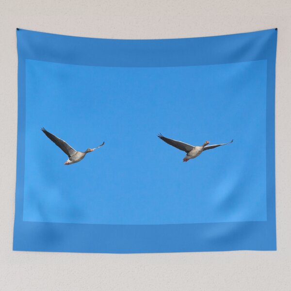 Item preview, Going north. Greylag goose designed and sold by Jouko Lehto Photography.