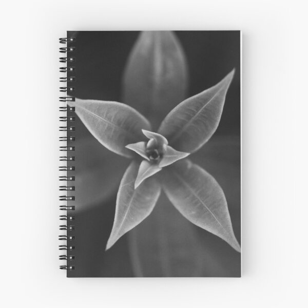 Item preview, Nature's symmetry B/W designed and sold by AnnaKT.