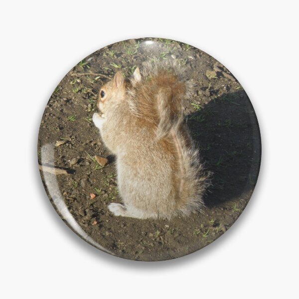 Item preview, Grey Squirrel Turns its back Photograph designed and sold by naturegallery.