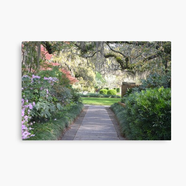 Brookgreen Gardens 2 Canvas Print