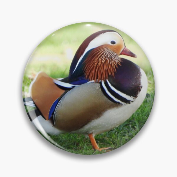 Item preview, A Wonderful Male Mandarin Duck designed and sold by Karen Thomson.
