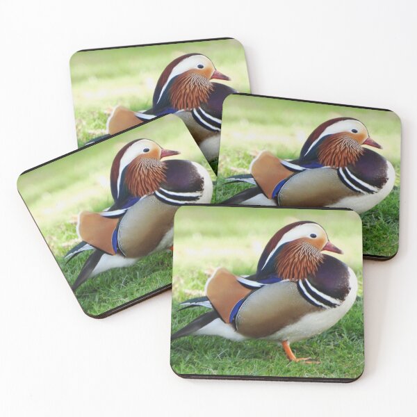 Item preview, A Wonderful Male Mandarin Duck designed and sold by Karen Thomson.