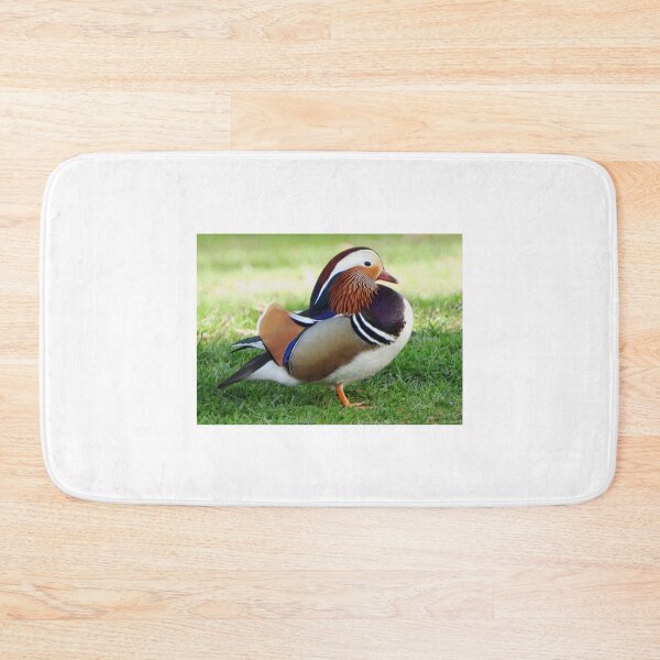 Item preview, A Wonderful Male Mandarin Duck designed and sold by Karen Thomson.