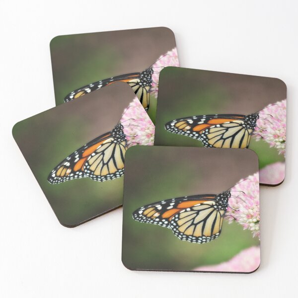 Item preview, Monarch on Sedum designed and sold by photoclique.