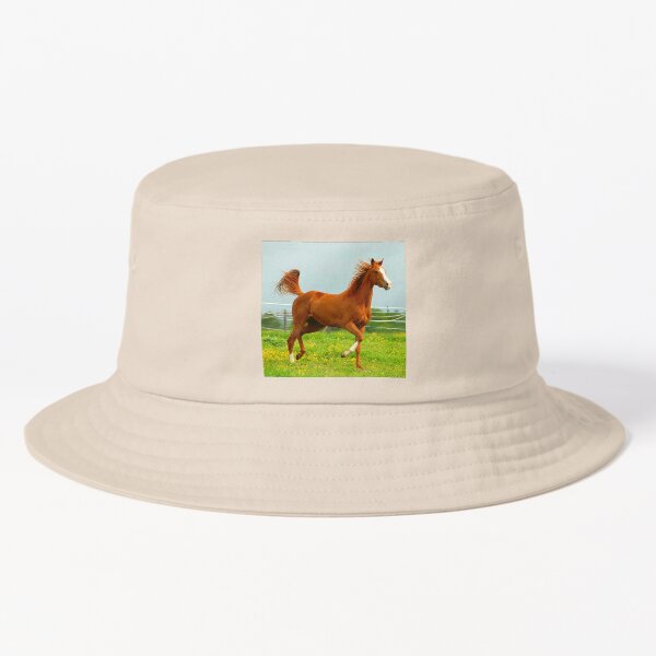 Aperçu de l'œuvre Beau cheval brun et blanc au galop créée et vendue par TheAnimalZ00.