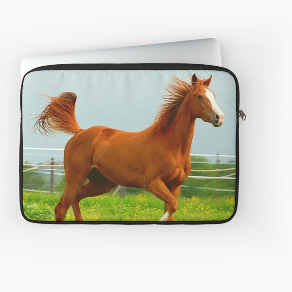 Aperçu de l'œuvre Beau cheval brun et blanc au galop créée et vendue par TheAnimalZ00.