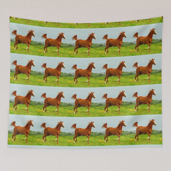 Item preview, Beautiful Brown & White Horse Galloping designed and sold by TheAnimalZ00.