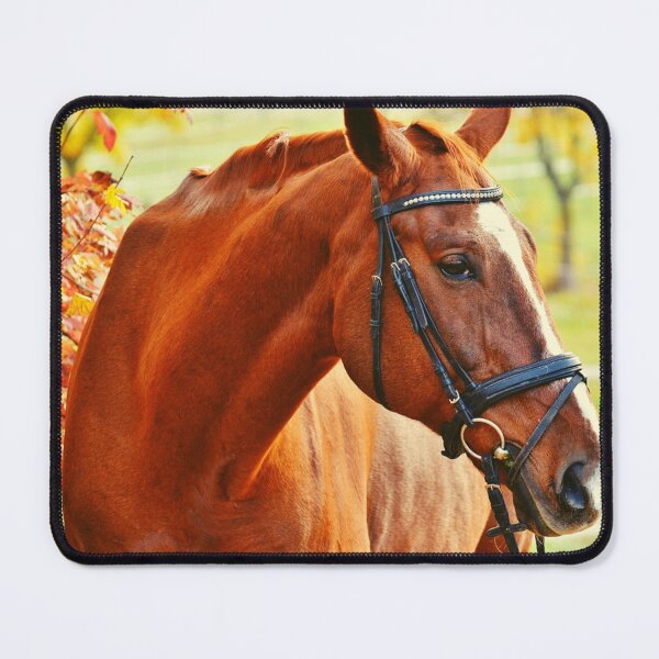 Item preview, Beautiful Brown & White Horse In Fall designed and sold by TheAnimalZ00.