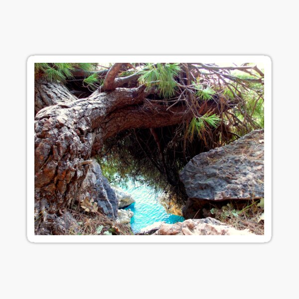 Item preview, Adriatic Coast  Evergreen Trees Above The Blue Sea - Photography by BranaghBel designed and sold by branaghbel.