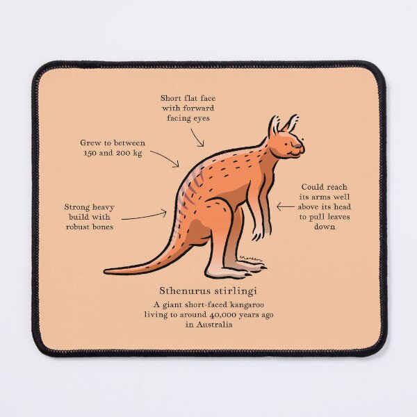 Item preview, Sthenurus stirlingi the prehistoric giant kangaroo designed and sold by Richard Morden.