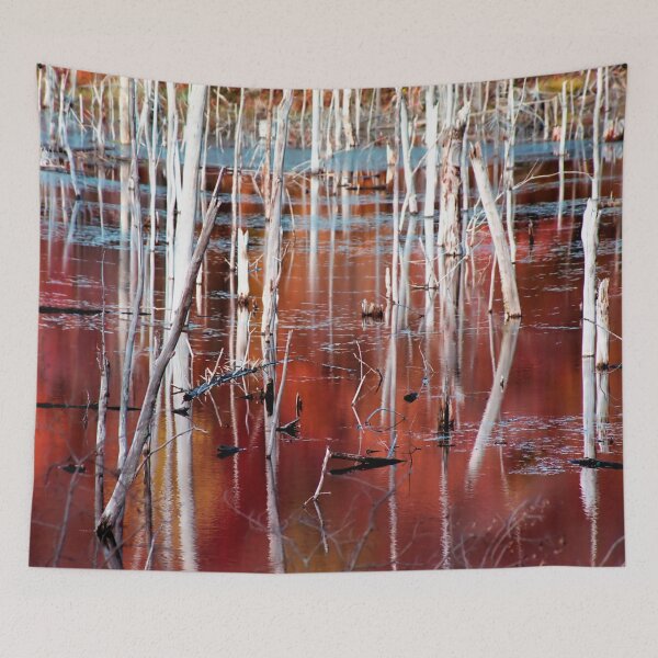 Item preview, Automn swamp designed and sold by cgarphotos.