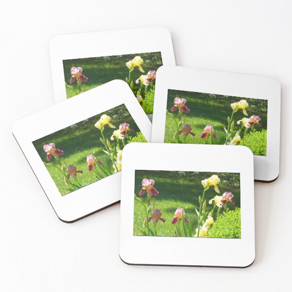 Item preview, Summer Irises designed and sold by ColSpankyArt.