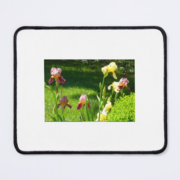 Item preview, Summer Irises designed and sold by ColSpankyArt.
