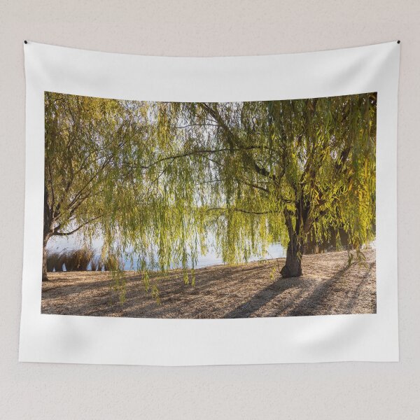 Item preview, Autumn colour in Canberra Australia designed and sold by Martin Berry Photography.