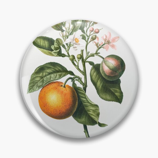 Item preview, Vintage Citrus Watercolor designed and sold by SuziQPrayers427.