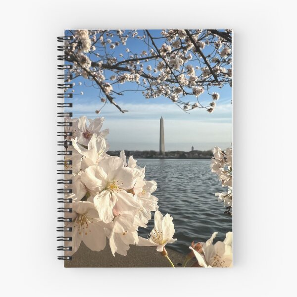 Item preview, Cherry Blossom Peak Blooms framing the Washington Monument, Washington DC designed and sold by ExploreOutdoors.