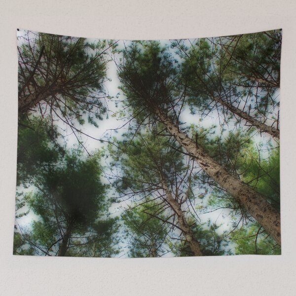 Item preview, Trees designed and sold by cgarphotos.