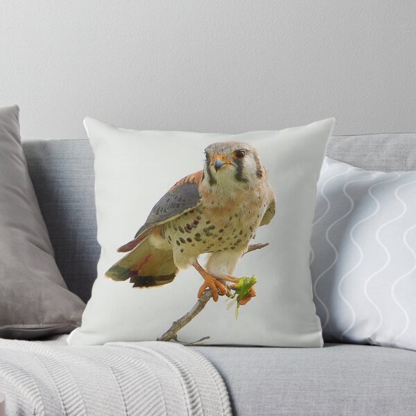 Item preview, American Kestrel designed and sold by SuddenJim.