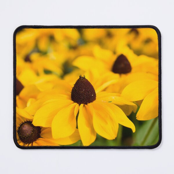 Item preview, Wild Brown-Eyed Susans designed and sold by ADAG-ART.