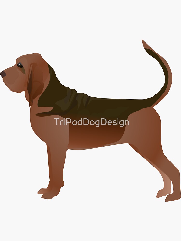 Bloodhound Dog Breed Illustration Silhouette by TriPodDogDesign