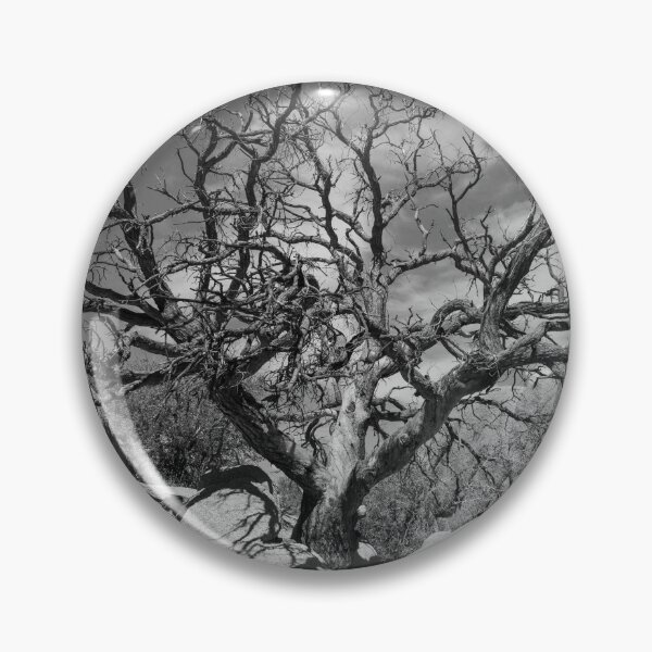 Item preview, Sturdy Branches Jumbo Rocks designed and sold by J Carr Photographer.