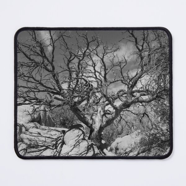 Item preview, Sturdy Branches Jumbo Rocks designed and sold by J Carr Photographer.