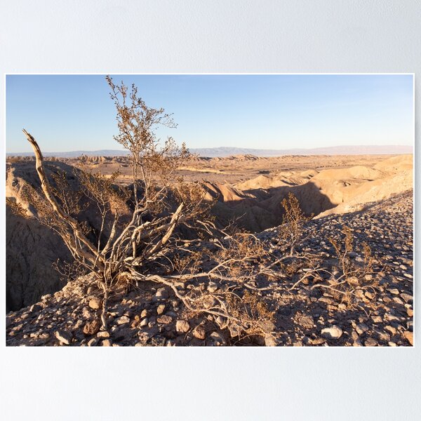 Artikelvorschau, Badlands von Salton Sea entworfen und verkauft von J Carr Photographer.