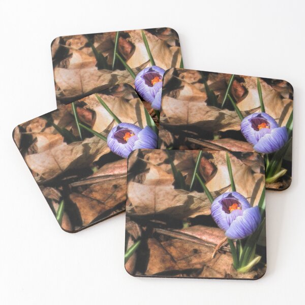 Item preview, Opening Soon designed and sold by Claude Johnson.