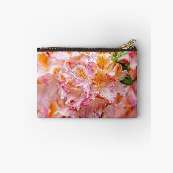 Item preview, Azaleas designed and sold by PhotosByHealy.