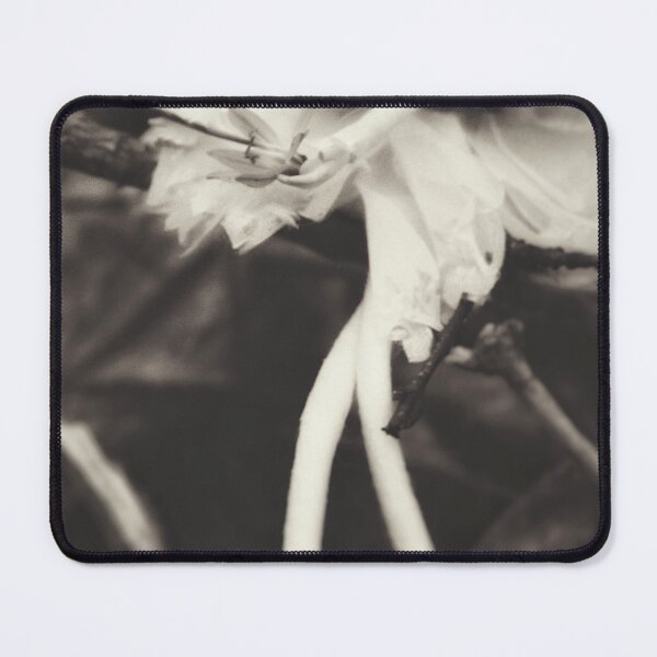Item preview, Fairy Offering - Fairy Print Woodland Decor Fairies Wall Art designed and sold by camera-euphoria.