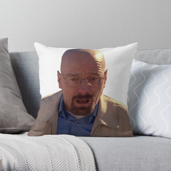 https://ih1.redbubble.net/image.3485692792.1883/throwpillow,small,600x-bg,f8f8f8-c,0,120,600,600.jpg