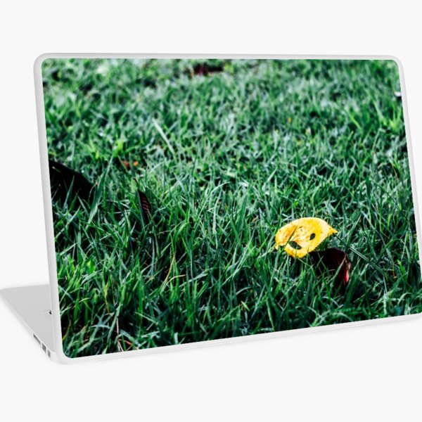 Yellow leaf Laptop Skin
