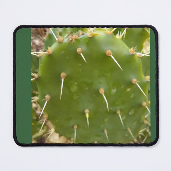 Item preview, Just a bit Prickly designed and sold by Drawn In.