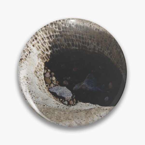 Item preview, Fossil Hunter Falls of the Ohio 02 designed and sold by Relics Of The Day.