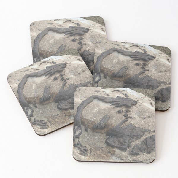 Item preview, Fossil Hunter Fall of the Ohio 03 designed and sold by Relics Of The Day.