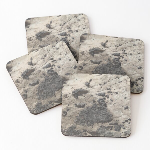 Item preview, Falls of the Ohio Fossil Hunter 05 designed and sold by Relics Of The Day.