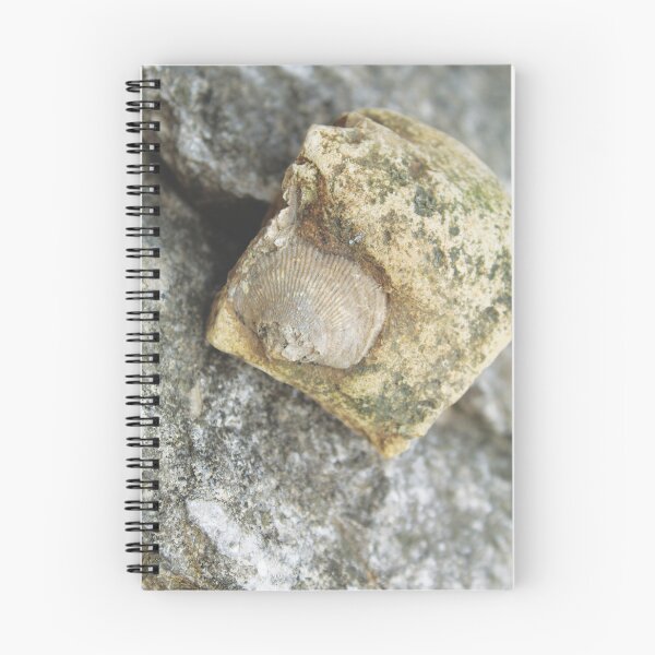 Item preview, Falls of the Ohio Fossil Hunter 08 designed and sold by Relics Of The Day.